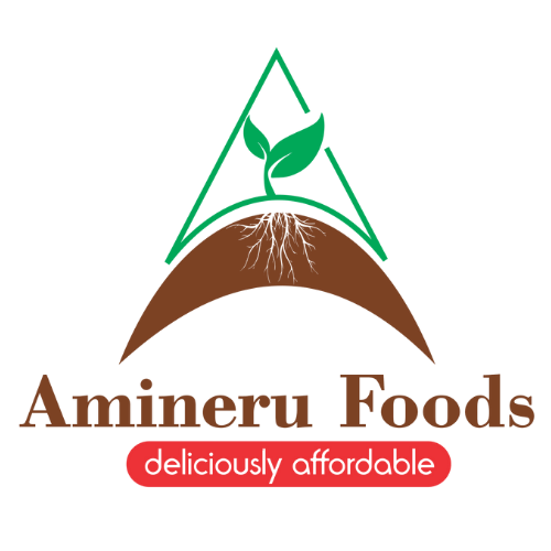 amineru logo square