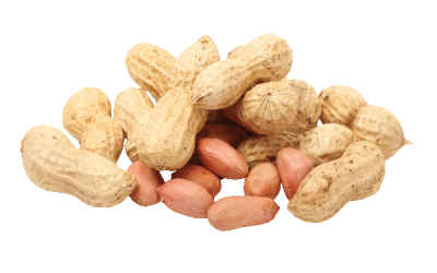 amineru foods groundnut raw