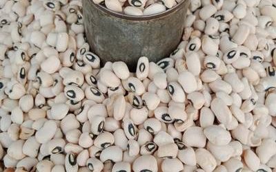 cowpea aminerufoods