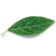 leaf-free-img-2 leaf-free-img-2
